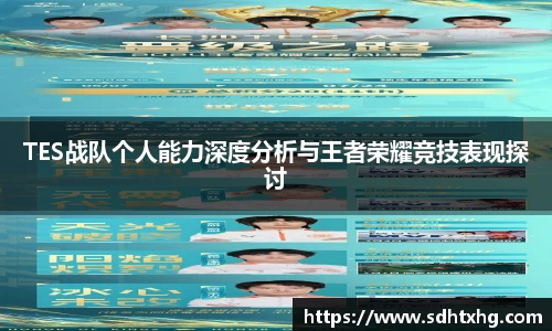 TES战队个人能力深度分析与王者荣耀竞技表现探讨
